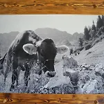Alpenliebe - Mit Koenigscard! Appartement