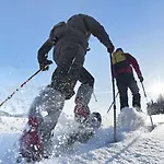 Alpenliebe - Mit Koenigscard! Nesselwang