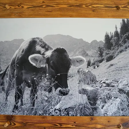 Alpenliebe - Mit Koenigscard! Appartamento